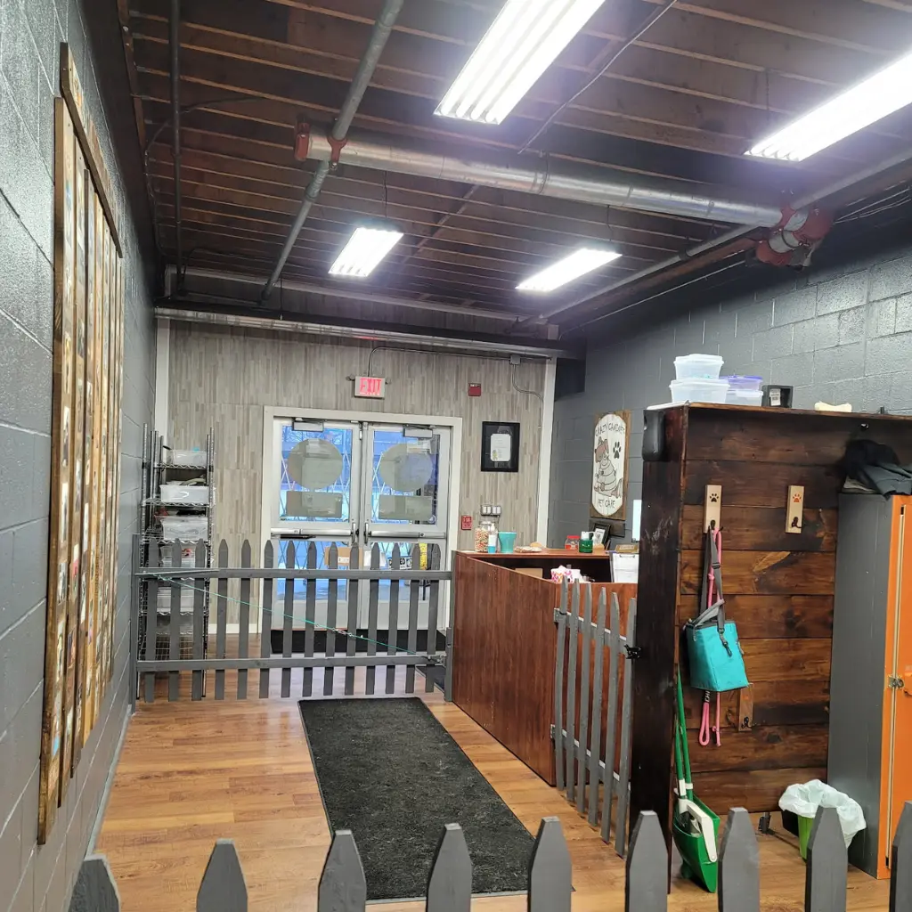 Light installation for a small business