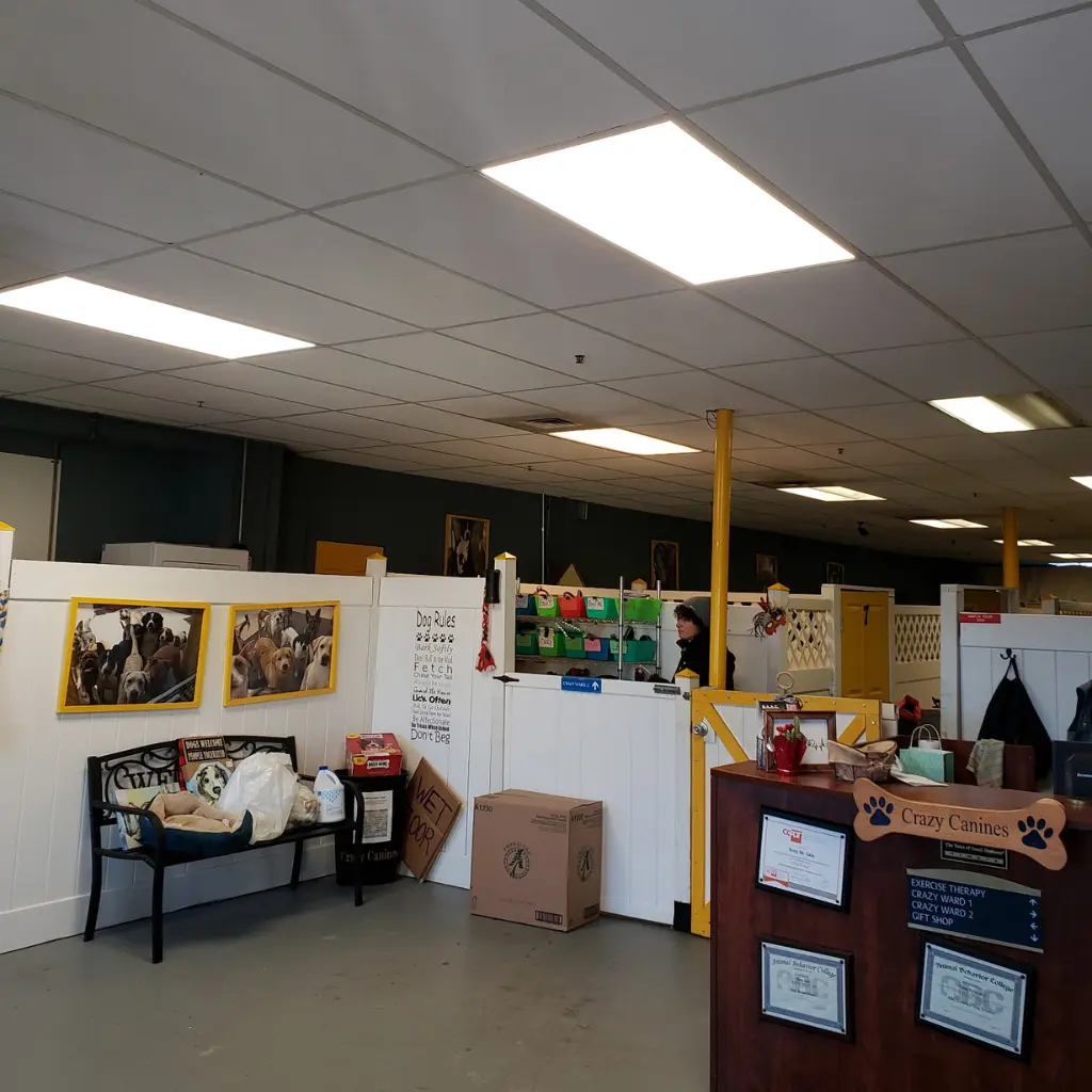 Commercial overhead lights upgrade and replacement
