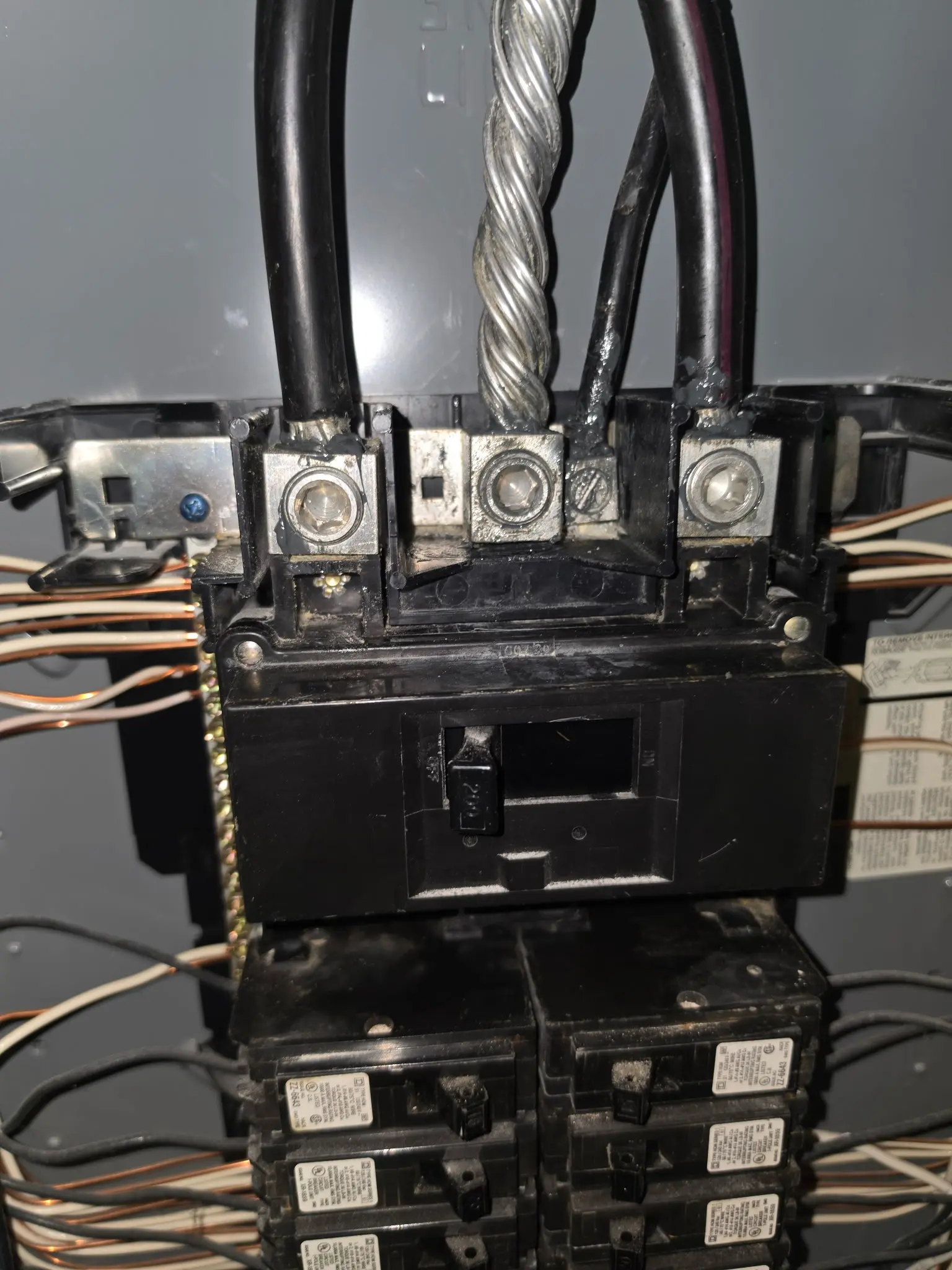 Electrical panel main breaker service inspection